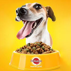 Dog_food