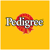 Pedigree : Pedigree Dog Food lucknow